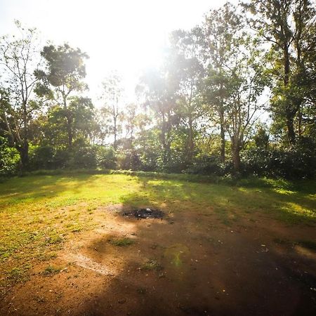 Misty Valley Hill Resorts Nelliyampathy Extérieur photo