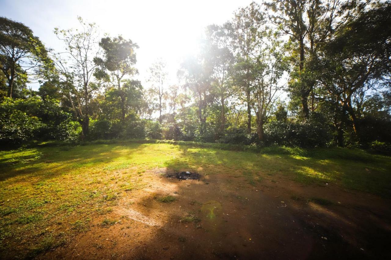 Misty Valley Hill Resorts Nelliyampathy Extérieur photo